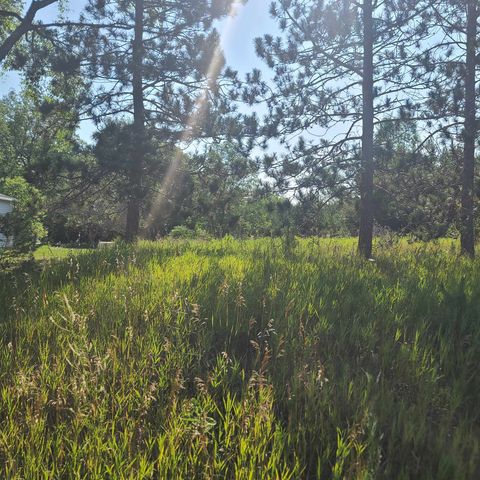 0002 M-66 Se, Fife Lake, MI 49633