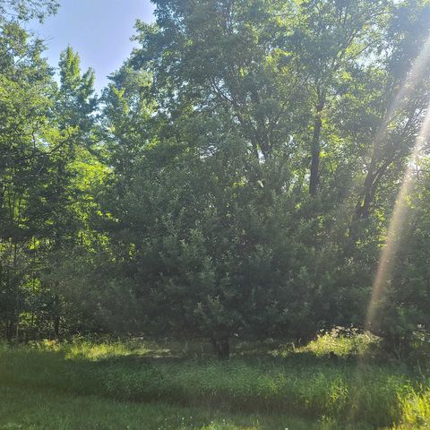 0002 M-66 Se, Fife Lake, MI 49633