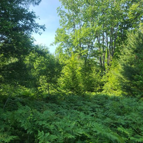 0002 M-66 Se, Fife Lake, MI 49633