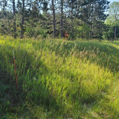 0002 M-66 Se, Fife Lake, MI 49633