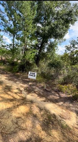lot 25 BIRCH AVENUE, Interlachen, FL 32148