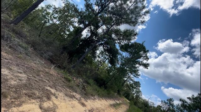 lot 25 BIRCH AVENUE, Interlachen, FL 32148