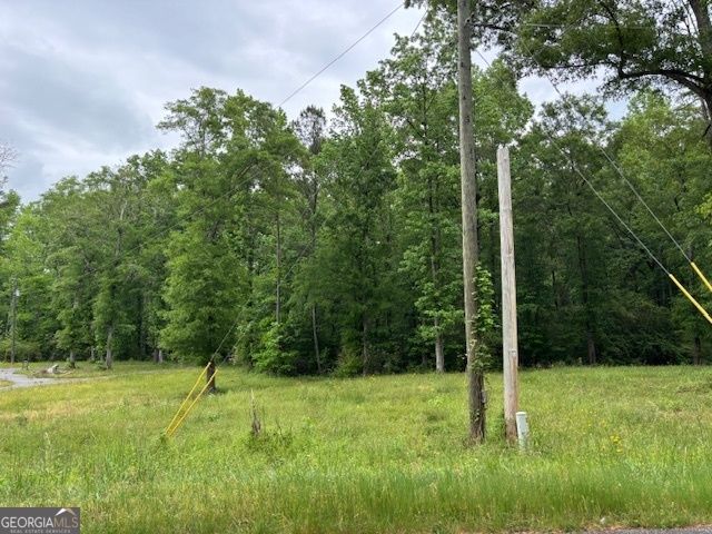 1314 Cheatham Road, Griffin, GA 30223