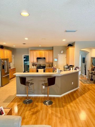 11016 WILDCAT DRIVE, Riverview, FL 33579