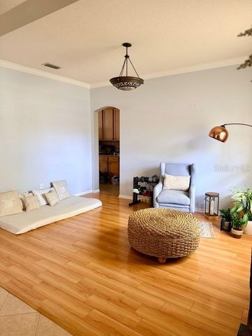 11016 WILDCAT DRIVE, Riverview, FL 33579