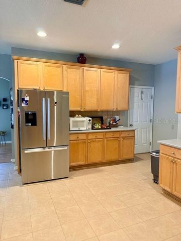 11016 WILDCAT DRIVE, Riverview, FL 33579