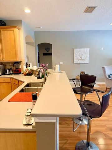 11016 WILDCAT DRIVE, Riverview, FL 33579