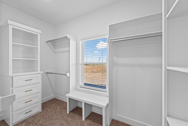 14125 N F M 2378, Shallowater, TX 79363