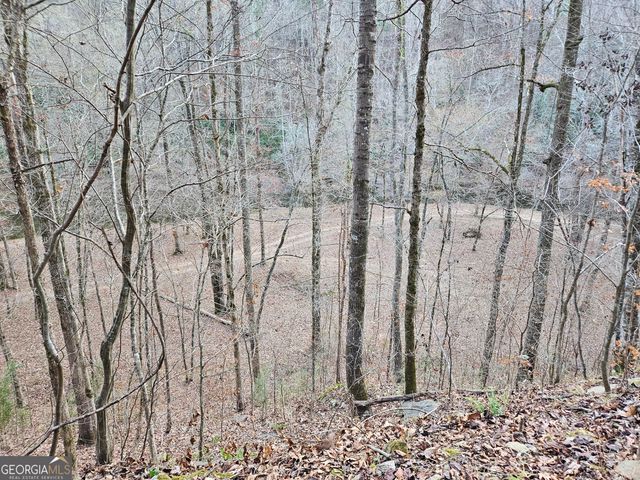 289 Anglers Ridge Road, Talking Rock, GA 30175