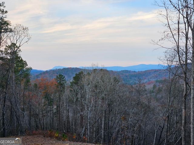 289 Anglers Ridge Road, Talking Rock, GA 30175