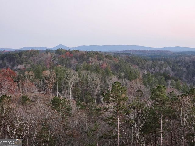 289 Anglers Ridge Road, Talking Rock, GA 30175