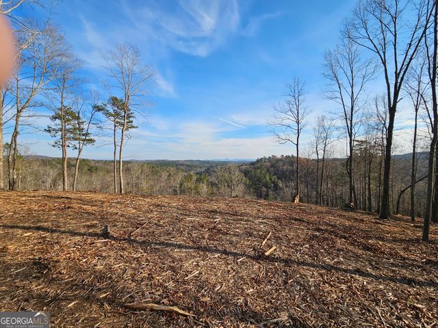 289 Anglers Ridge Road, Talking Rock, GA 30175