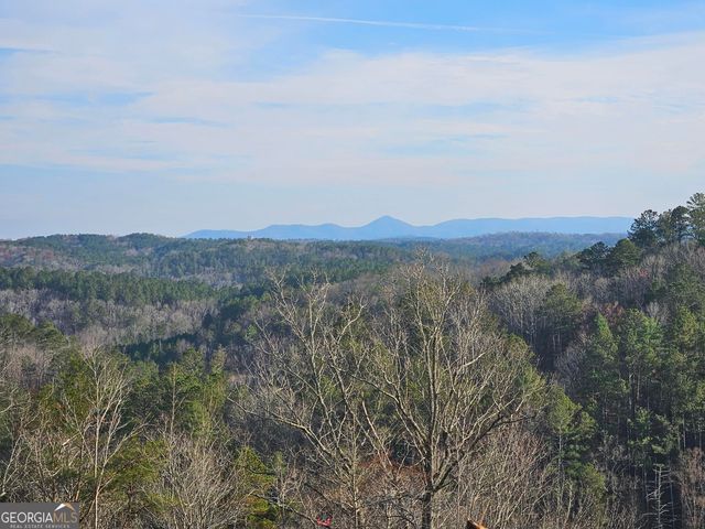 289 Anglers Ridge Road, Talking Rock, GA 30175