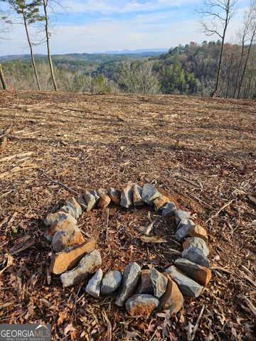 289 Anglers Ridge Road, Talking Rock, GA 30175