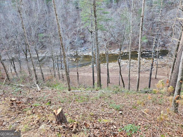 289 Anglers Ridge Road, Talking Rock, GA 30175