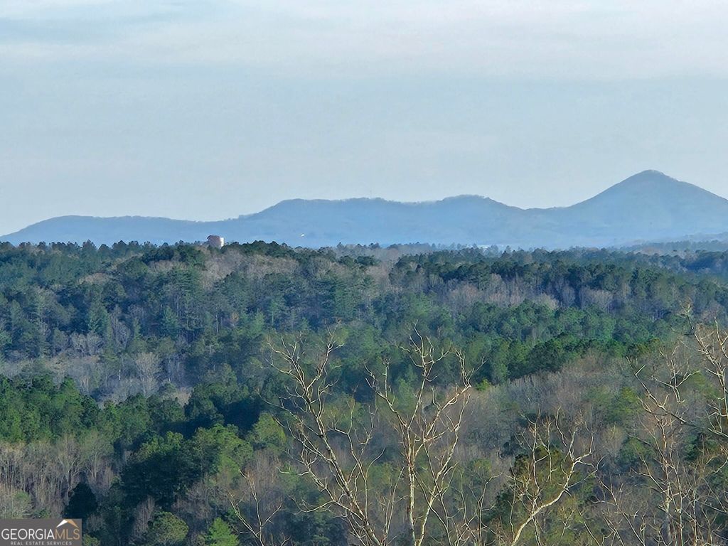289 Anglers Ridge Road, Talking Rock, GA 30175