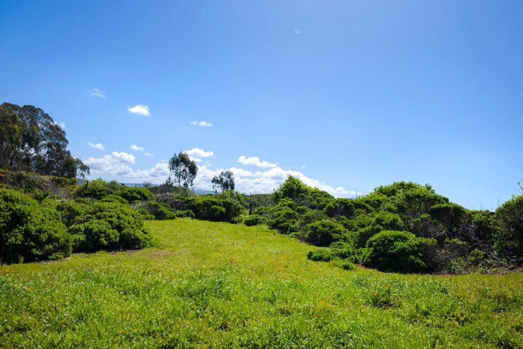 Image 40 of property listing at 121 Bernal Avenue, Moss Beach, CA 94038