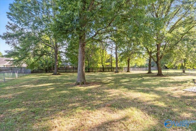142 Raspberry Way, Madison, AL 35757