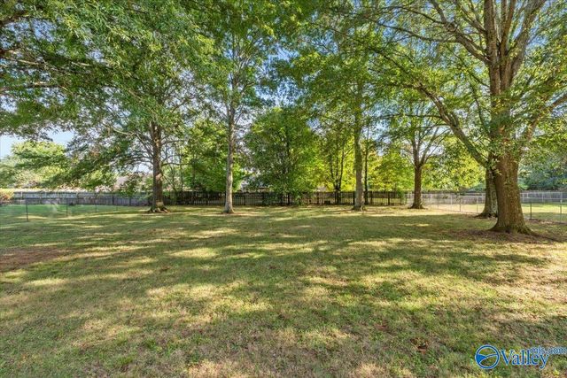 142 Raspberry Way, Madison, AL 35757