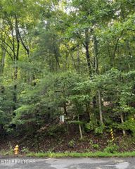 Lot 167 Laurel Lake Circle, Madisonville, TN 37354
