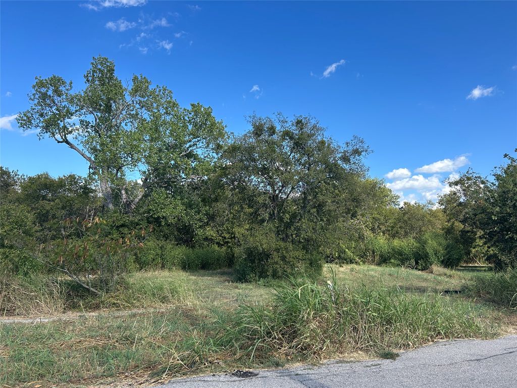303 Inez Hardy Way, Grandview, TX 76050