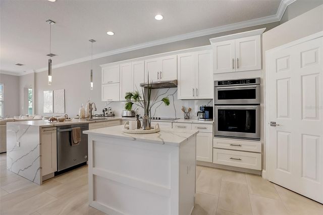 23338 DINHURST COURT, Land O Lakes, FL 34639