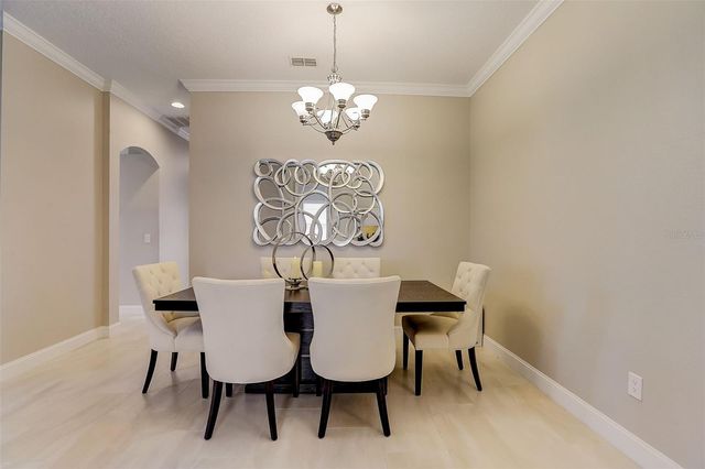 23338 DINHURST COURT, Land O Lakes, FL 34639