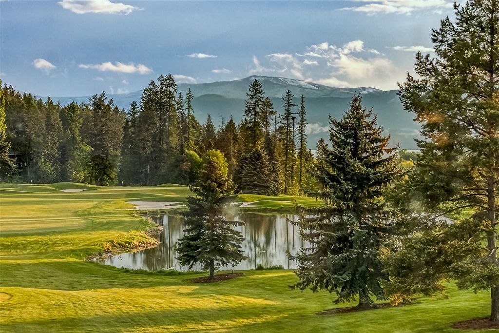 104 Baylie Drive, Bigfork, MT 59911 photo 3