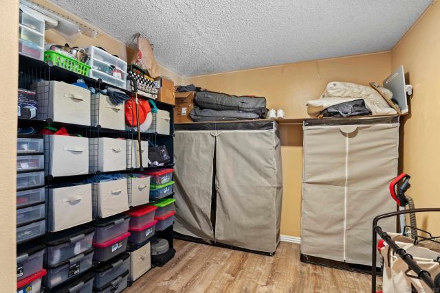 1619 Curry Comb Dr, San Marcos, CA 92069