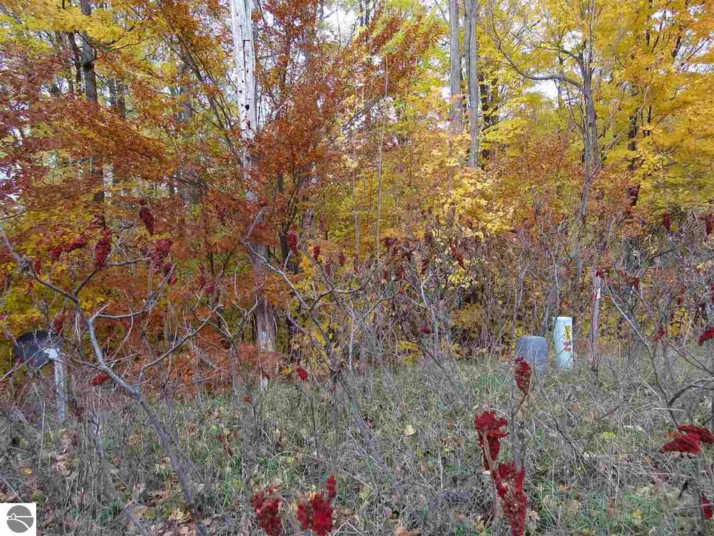 Image 1 of property listing at Lot 80 Eden Street, Kingsley, MI 49649