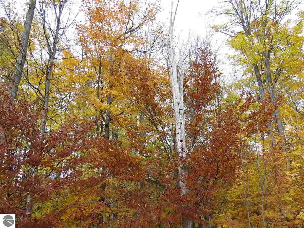 Image 2 of property listing at Lot 80 Eden Street, Kingsley, MI 49649