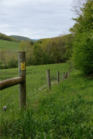 2400 Gladstone Hollow Road, Andes, NY 13731