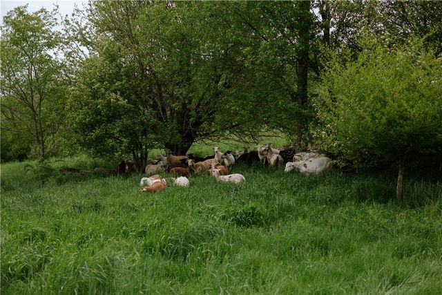 2400 Gladstone Hollow Road, Andes, NY 13731