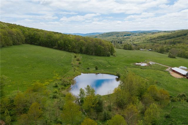 2400 Gladstone Hollow Road, Andes, NY 13731