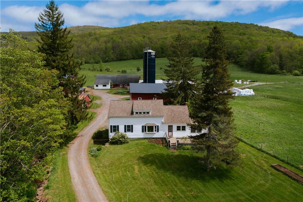 2400 Gladstone Hollow Road, Andes, NY 13731