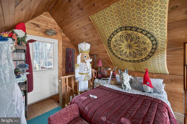 125 NATIONAL FOREST ACCESS RD, Luray, VA 22835