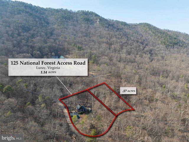 125 NATIONAL FOREST ACCESS RD, Luray, VA 22835