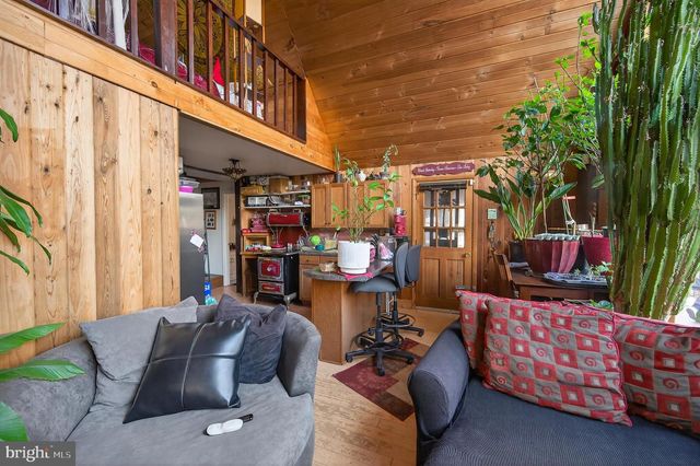 125 NATIONAL FOREST ACCESS RD, Luray, VA 22835