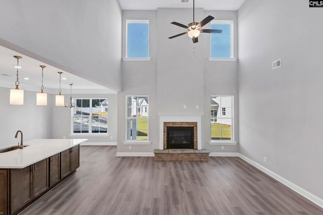 262 Lemon Tree Crossing, Elgin, SC 29045