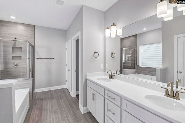262 Lemon Tree Crossing, Elgin, SC 29045