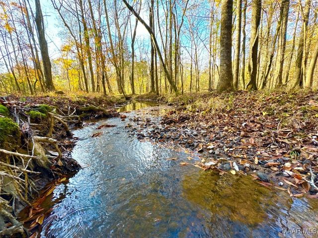 9 Jug Factory Road, Redland, AL 36093