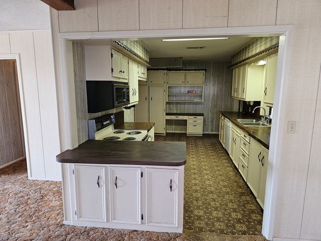 616 Driftwood Dr, Robert Lee, TX 76945