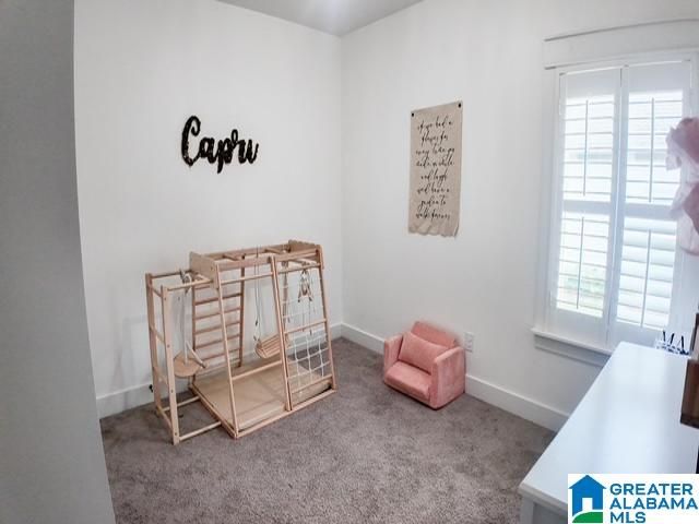 2720 VILLAGE LANE, Birmingham, AL 35211