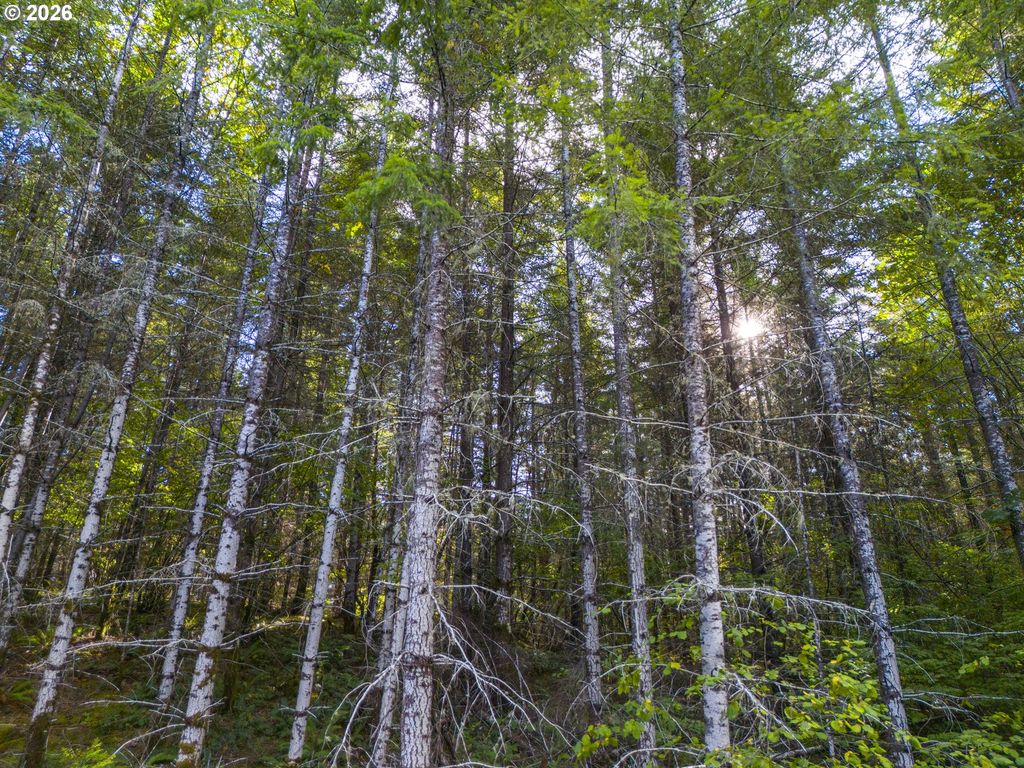 Image 1 of property listing at 0 Meadow Lake Rd, Carlton, OR 97111