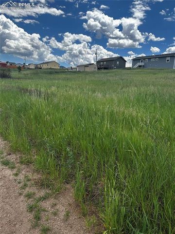 1298 Will Scarlet Drive, Divide, CO 80814