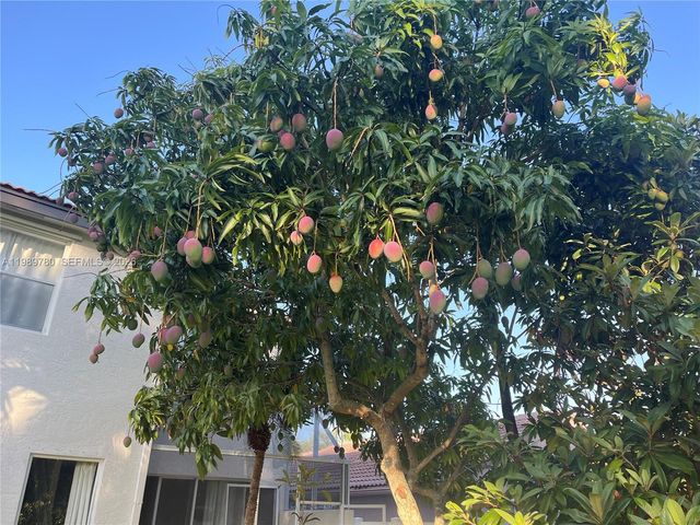 17731 SW 23rd St, Miramar, FL 33029