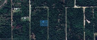2844 W Twilley Road, Avon Park, FL 33825