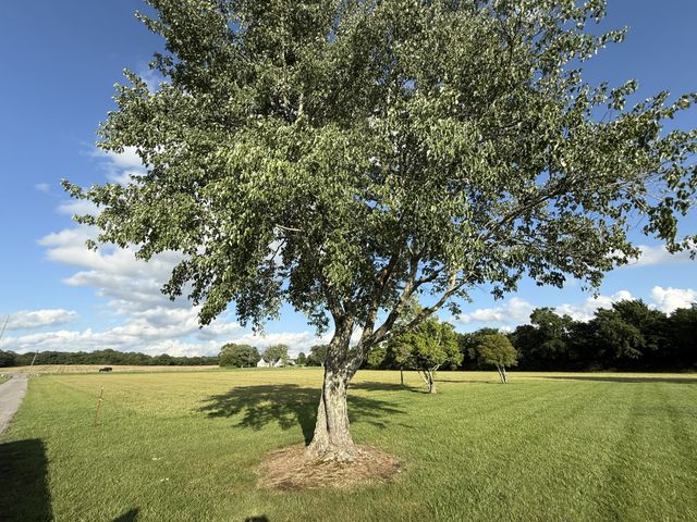 3171 Highway 41A, N, Eagleville, TN 37060