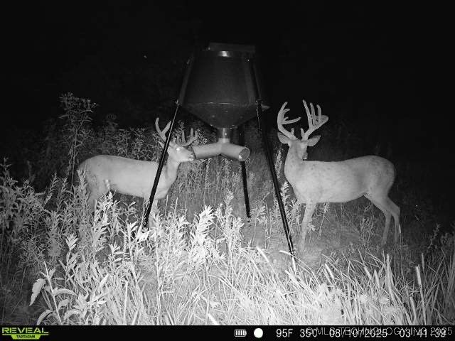 78 SE Lenapah Street, Skiatook, OK 74070