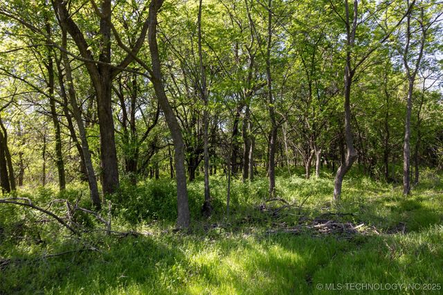 78 SE Lenapah Street, Skiatook, OK 74070